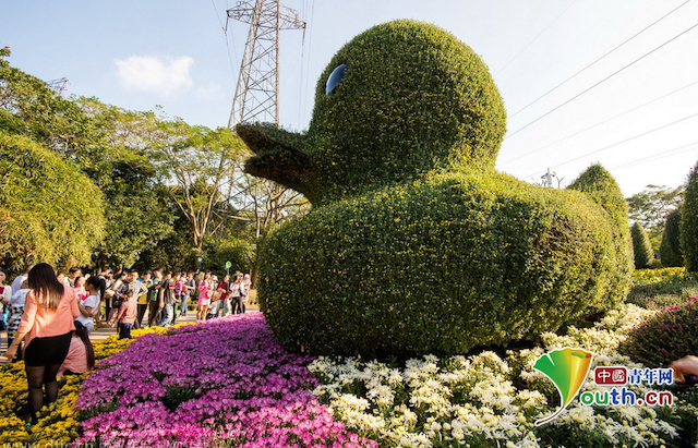 Nguoi Thuong Hai me vit cao su khong lo phien ban cay hinh anh