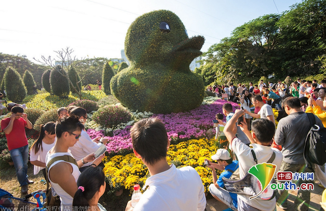 Chú vịt khổng lồ trong triển lãm hoa cúc Shenzhen tại Thượng Hải chiếm được nhiều cảm tình của du khách.