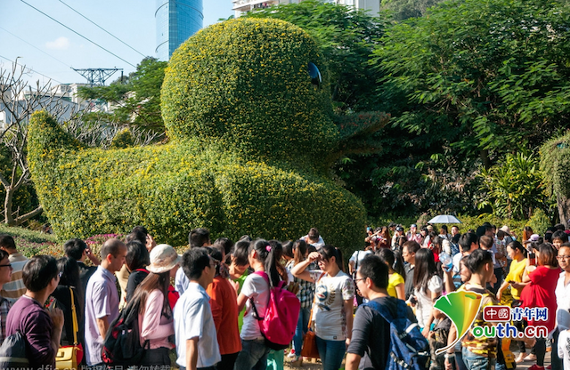 Chú vịt mô phỏng vịt vàng cao su khổng lồ nổi tiếng được uốn từ cây cảnh.