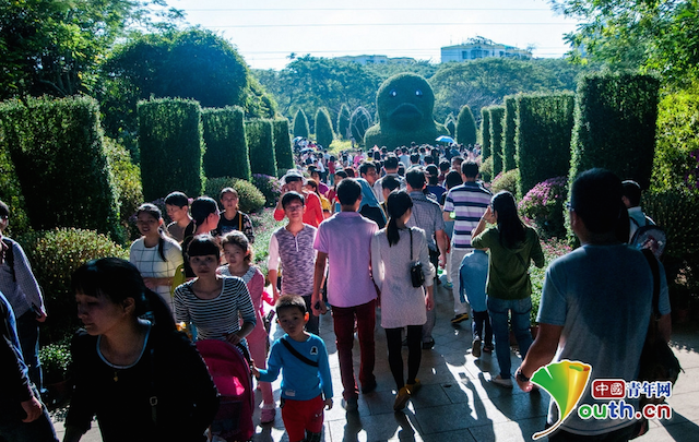 Các du khách rất thích thú với chú vịt cây độc đáo này.