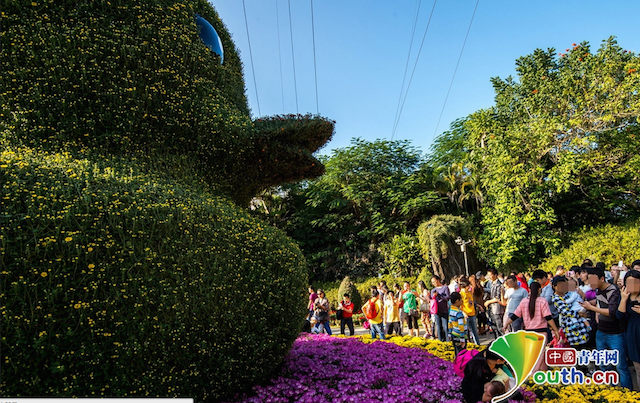 Khi mùa xuân đến, toàn bộ số cây được dùng để uốn sẽ nở hoa vàng, khiến chú vịt cây có màu rực rỡ y hệt như chú vịt cao su đã gợi cảm hứng cho tác phẩm này.