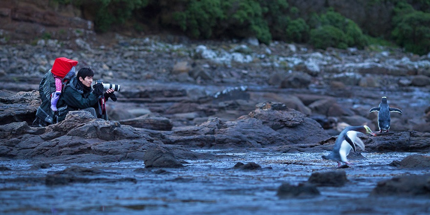 Hai nhiếp ảnh gia hiện đang làm việc cho Everlook Photography này cõng con trên lưng và phải tìm đủ cách để cho bạn trẻ được thoải mái cạnh đống dụng cụ họ mang theo.