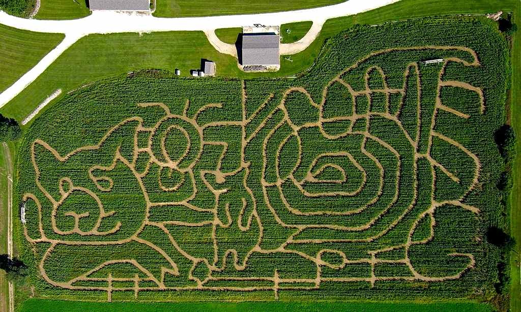 Mê cung của trang trại Geisler, Iowa:   Mê cung rộng 40.500 m2 này rất khó vì có tới hơn một lối ra. Du khách sẽ mất khoảng 1 tiếng để tìm đường và còn một thử thách nữa là tu thập những con tem đặc biệt ở 20 điểm nằm rải rác khắp mê cung. 
