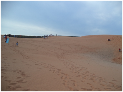 Môn trượt cát đầy thú vị.