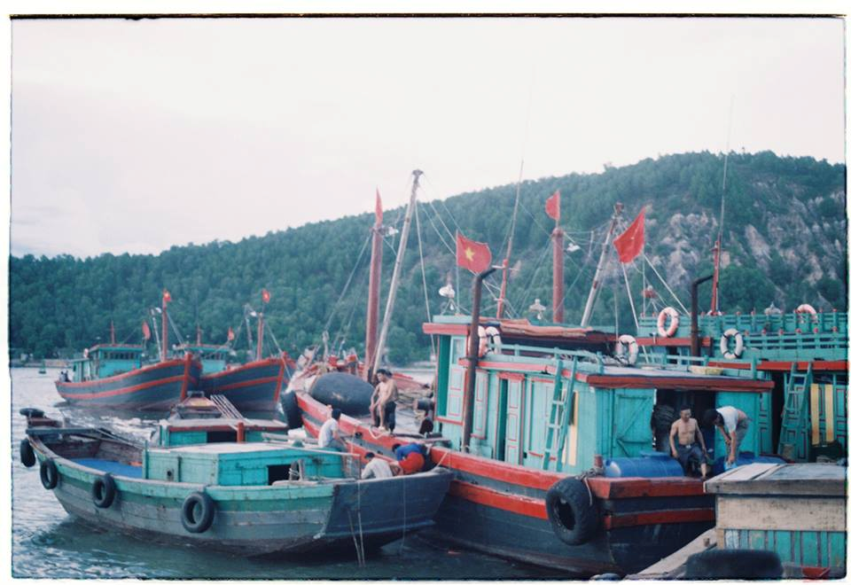 Đoàn thuyền neo đậu