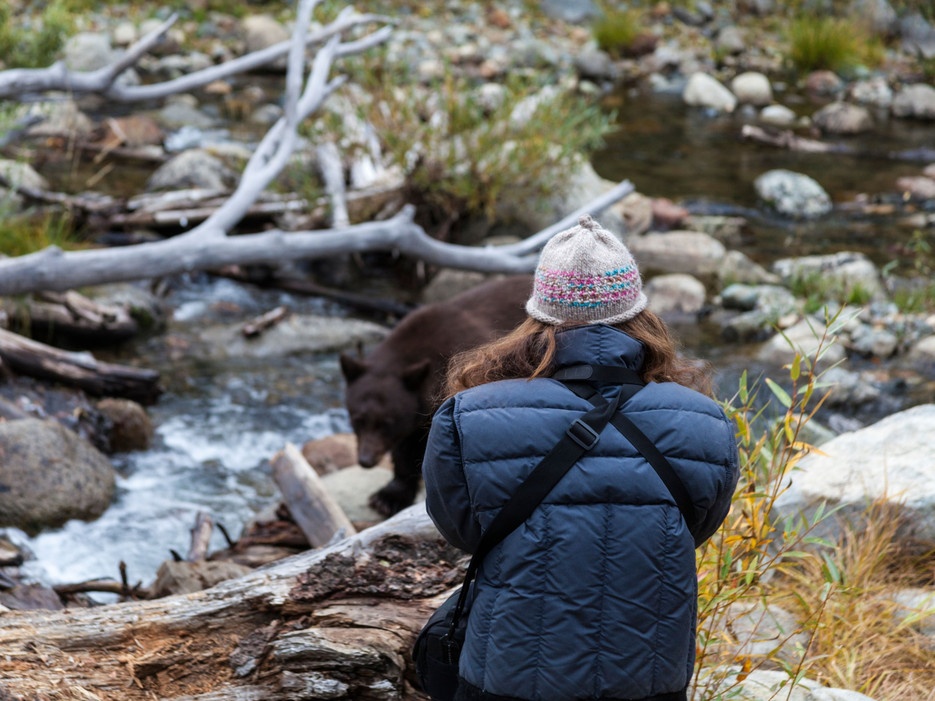 2. Hồ Tahoe, California – Nevada, Mỹ: Các nhân viên quản lý hồ đã yêu cầu du khách không chụp ảnh gấu, đặc biệt là ảnh selfie vì khi chụp, du khách thường quay lưng lại với con gấu. Phát ngôn viên của công viên cho biết gần đây lượng du khách chụp selfie với gấu tăng lên khá nhiều và đó là một vấn đề về an toàn. Có lẽ ban quản lý lo ngại sẽ có chuyện tương tự xảy ra như vụ việc một cặp đôi bị tê giác tấn công do hướng dẫn viên khuyến khích họ tới gần chúng để chụp ảnh đẹp hơn.