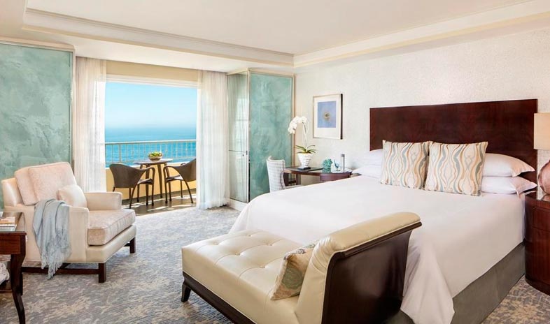 Khách sạn còn có một nhà hàng phục vụ những món ăn thượng hạng, một quầy rượu cạnh hồ bơi, phòng tập thể hình và bể bơi ngoài trời. Ngoài ra, The Ritz-Carlton Laguna Niguel chỉ cách công viên giải trí Disneyland 50km.