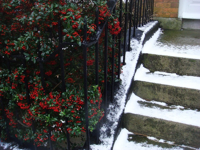 12. Iceland: Bạn không nên đan len trên bậu cửa trong những tháng cuối năm, nếu không mùa đông sẽ kéo dài hơn. 
