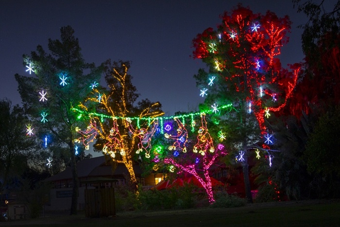 Ánh sáng ở Vườn thú Phoenix Du khách đến thăm vườn vào các buổi tối từ ngày 24/11 đến 11/1 có thể chiêm ngưỡng những màn trình diễn của 3,8 triệu đèn được phân chia giữa 700 màn hình lấp lánh và cả sự xuất hiện của những ông già Noel cùng cỗ xe ngựa.