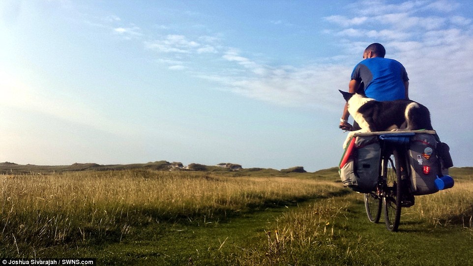 Chu cho ngoi sau xe dap vuot qua ca nghin cay so hinh anh