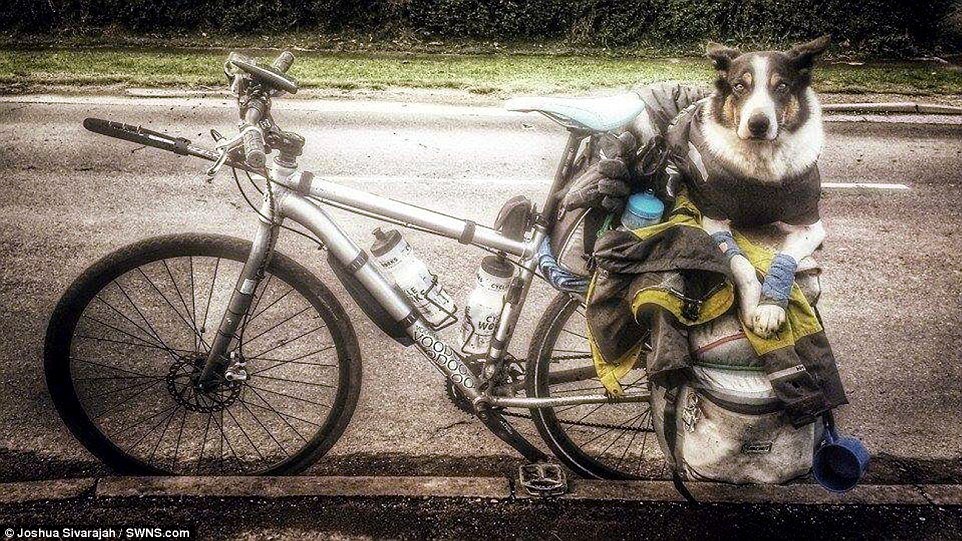 Joshua cho biết đã từ bỏ mọi thứ cho chuyến đi này và Nero là người bạn đồng hành tuyệt vời nhất: “Tôi đã bỏ việc, bán nhà cửa và đồ đạc. Tôi chỉ có Nero, một chiếc lều, bếp nấu và một ít quần áo”.