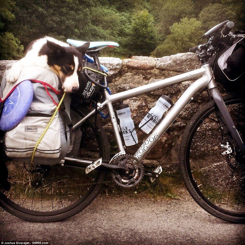 Anh cho biết: “Nero là bạn thân nhất của tôi. Khi tôi tới cửa hàng thú cảnh, nó là chú chó con duy nhất không thèm để ý tới tôi. Từ lúc đó tôi đã quyết định sẽ làm nó yêu mến tôi. Nó là bạn thân nhất và luôn ở cạnh tôi. Nero là chó, bạn, người đồng hành và tri kỷ của tôi. Đây là một chuyến phiêu lưu tuyệt vời”.