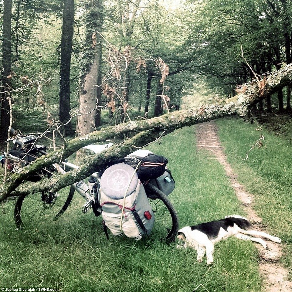 Joshua, người có công ty kinh doanh riêng, đã quyết định thu dọn đồ đạc và bỏ lại mọi thứ ở Southampton vào tháng 7. Anh và chú chó Nero đã đi hơn 4.000km dọc nước Anh, bao gồm Cornwall, Bristol và bờ biển Pembrokeshire. Họ còn tới được Ireland nhờ sự giúp đỡ của một ngư dân, trước khi khám phá Outer Hebrides của Scotland.