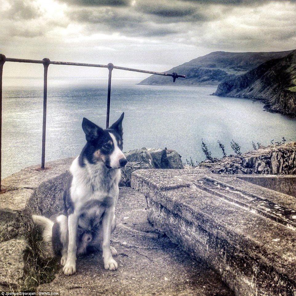 Chi phí cho chuyến đi của họ được những người đã nghe câu chuyện của Joshua trên Go Fund ủng hộ.