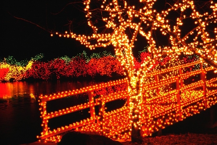 Khu vườn ánh sáng tại Công viên Honor Heights Được trang hoàng từ 27/11 đến 1/1 năm sau, khu vườn được tôn tạo với hàng triệu ánh đèn lấp lánh trang trí tự nhiên theo cây cối, bui cỏ khiến cho du khách cảm nhận như đang ở giữa khu vườn mùa xuân.