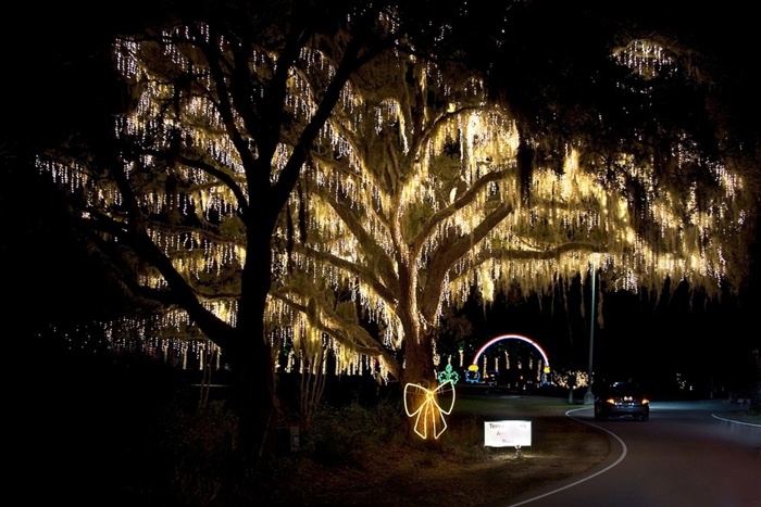 Lễ hội ánh sáng tại Đảo James Từ ngày 14/11 đến 1/1, những người đến đây sẽ được tận hưởng một tour thăm quan 700 màn hình và 2 triệu bóng đèn được trải khắp trên khắp các ngọn cây trên đảo.