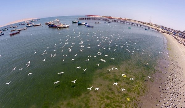 Huacachina hiện là một trong số ít các ốc đảo tự nhiên còn lại ở Bắc và Nam Mỹ, là một thiên đường khám phá của khách du lịch thế giới.