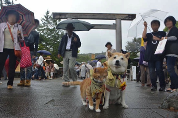 Kikuchiyo và Torajiro không hề sợ hãi khi ở chốn đông người.