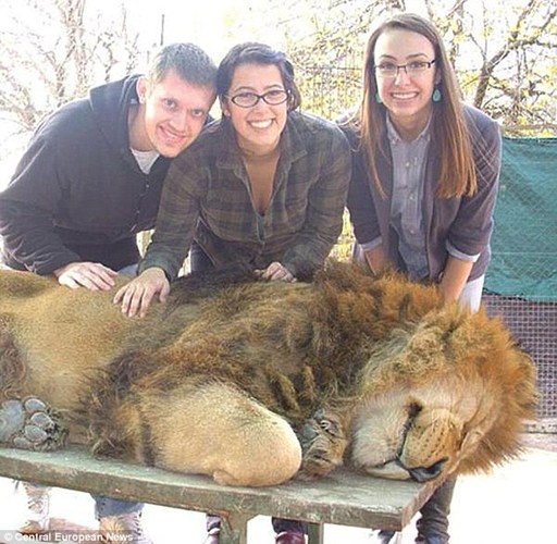 So thu tiem chat kich thich de su tu chup anh ngoan hien hinh anh