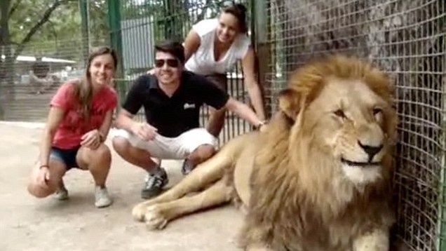 Nhóm các nhà bảo vệ động vật cũng kêu gọi luồng ý kiến ủng hộ đóng cửa vườn thú trên Facebook và tính đến nay đã có hơn 6.000 thành viên.