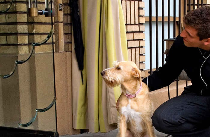 6. Dịch vụ chăm sóc thú cưng, khách sạn Hotel deLuxe, Portland, Mỹ: Khách sạn này cung cấp giường ngủ, bát ăn, đồ chơi và thức ăn riêng cho thú cưng của bạn. Ngoài ra còn có dịch vụ mát-xa, đọc truyện trong phòng dành cho chúng.