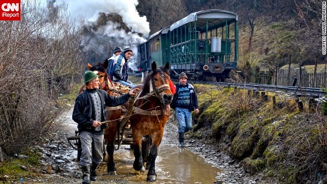 Viseu de Sus, Romania: Các công nhân đang đưa ngựa qua thung lũng Vasser ở Vișeu de Sus, Romania.