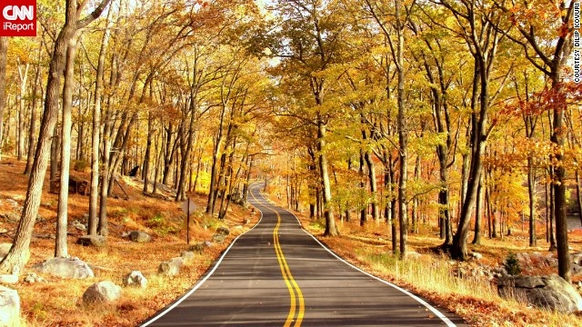 Công viên Harriman, New York, Mỹ: Tán lá vàng và đỏ trải dọc theo con đường đơn độc trong công viên Harriman.