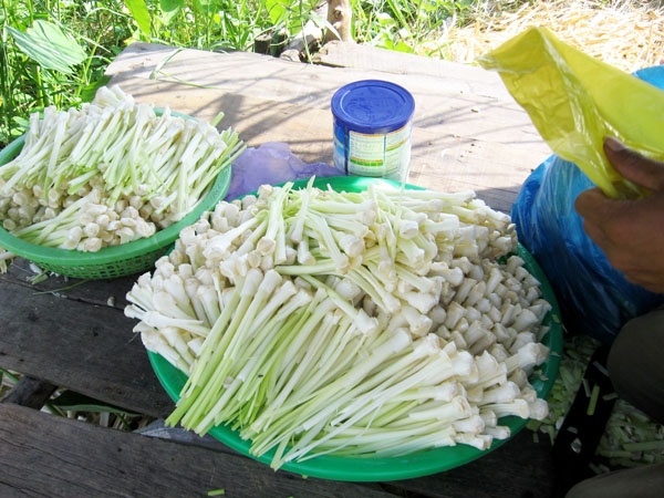 Đặc sản bồn bồn vùng Cà Mau