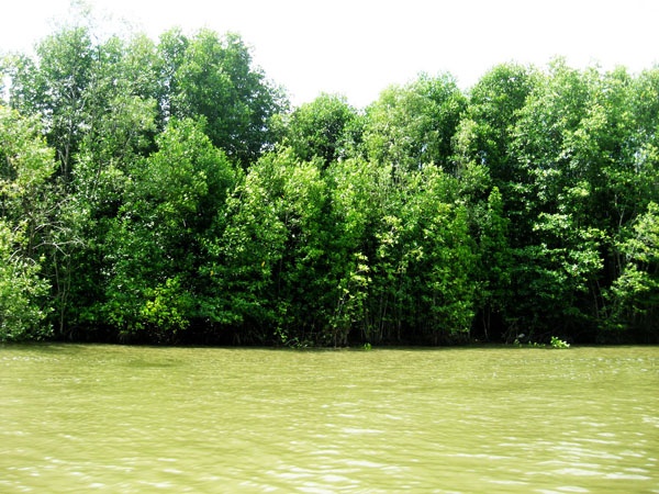 Màu xanh nối tiếp màu xanh