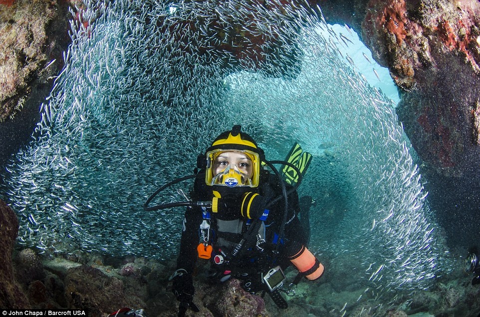 John, tới từ Miami, cho biết đôi khi có những con cá mú hoặc cá mập y tá xuất hiện phá vỡ khung cảnh thần tiên này.