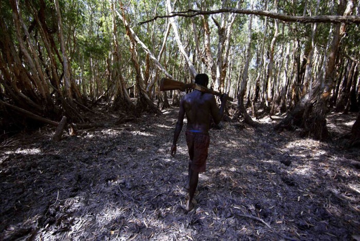 Roy Gaykamangu, một người đàn ông thuộc bộ lạc Yolngu đang tiến vào một khu rừng ở phía Đông hòn đảo để bắt đầu cho chuyến đi săn thường nhật.