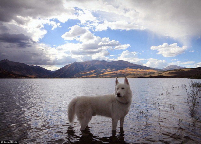 Thảnh thơi bên hồ Twin ở Colorado.