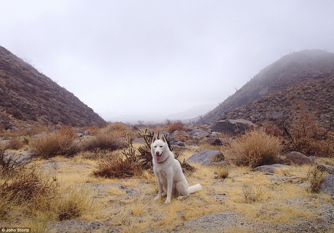 Khung cảnh hoang sơ ở sa mạc Anza Borrego.