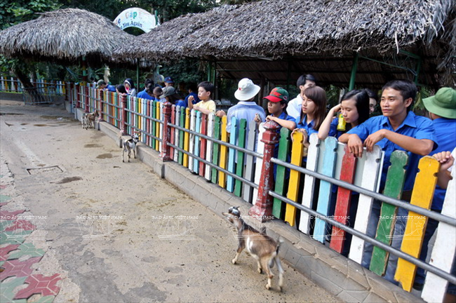 Du khách thích thú tham quan khu nuôi dê.