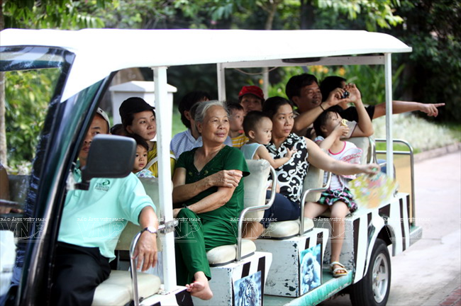 Du khách tham quan Thảo Cầm viên bằng xe điện.