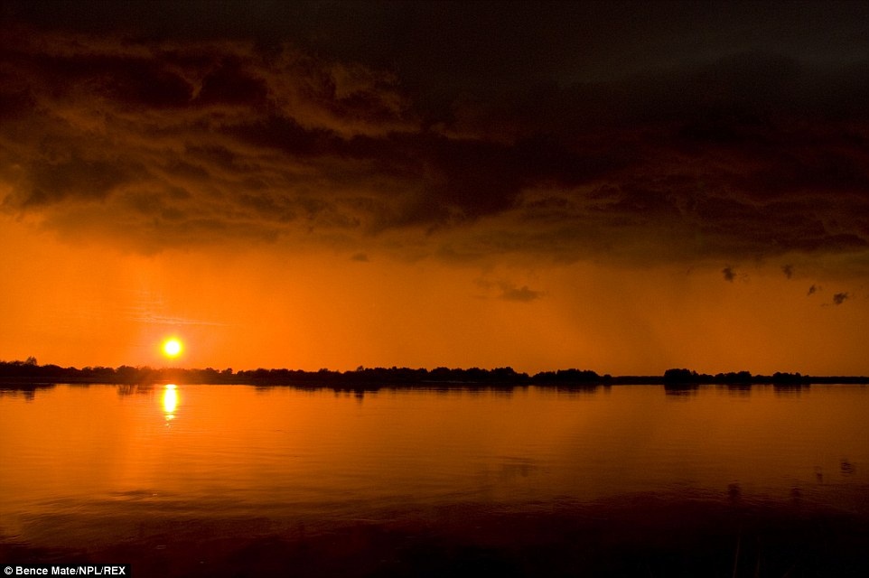 “Cuối ngày”: Trong bức ảnh này, Mate hướng ống kính về khung cảnh hoàng hôn lộng lẫy trên sông Prypiat, giữa thiên nhiên hoang dã Belarus.