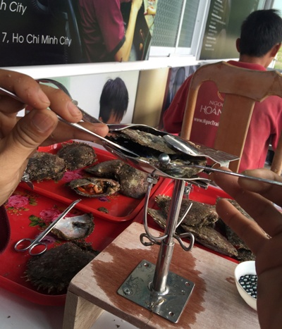 Cận cảnh những viên ngọc trai được thu hoạch từ trại nuôi của Công ty Ngọc Trai Hoàng Gia, bao gồm 3 loại: ngọc trai Tahiti màu đen, South sea màu vàng và South sea màu trắng.