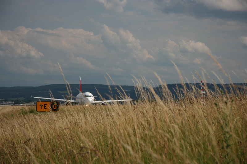4. Thợ săn sân bay, sân bay Zürich, Thụy Sĩ: Một số mối nguy an ninh lớn nhất ở sân bay nhộn nhịp này là những chú chim, thỏ, thậm chí là lợn lòi... lọt vào đường băng, không chỉ có nguy cơ làm chính chúng bị thương mà còn có thể làm hỏng động cơ, kính chắn gió hay thân máy bay. Ba cảnh sát có vũ trang liên tục đi tuần tại các khu vực quanh sân bay để xem có vị khách động vật nào không mời mà tới không.