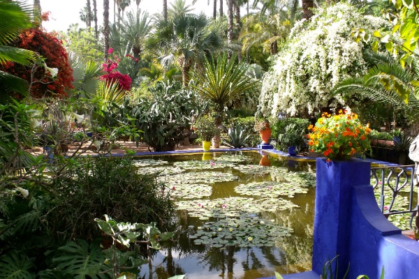 5. Jardin Majorelle: Jardin Majorelle là điểm dừng chân không thể bỏ qua khi đến Ma rốc, thu hút hàng triệu du khách đến tham quan mỗi năm. Khu vườn như một bức tranh tuyệt đẹp, yên bình đan xen giữa cây xanh, hồ nước, các loại hoa... do họa sĩ Jacques Majorelle thiết kế vào năm 1920. Ngày nay chủ nhân mới của vườn là nhà thiết kế thời trang nổi tiếng Yves Saint Laurent.