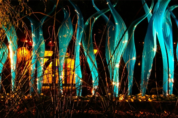 7. Desert: Sa mạc vườn bách thảo ở Arizona có các bộ sưu tập thực vật sa mạc ngoạn mục nhất, với khoảng 17 000 loại. Vườn có một trung tâm nghiên cứu thực vật sa mạc rộng 13.700m2, một thư viện, phòng thí nghiệm, bảo tồn thực vật, và các cơ sở nghiên cứu.