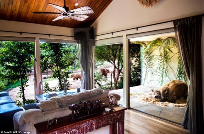 Các loài động vật được huấn luyện để không gây sợ hãi cho những người ở trong phòng.