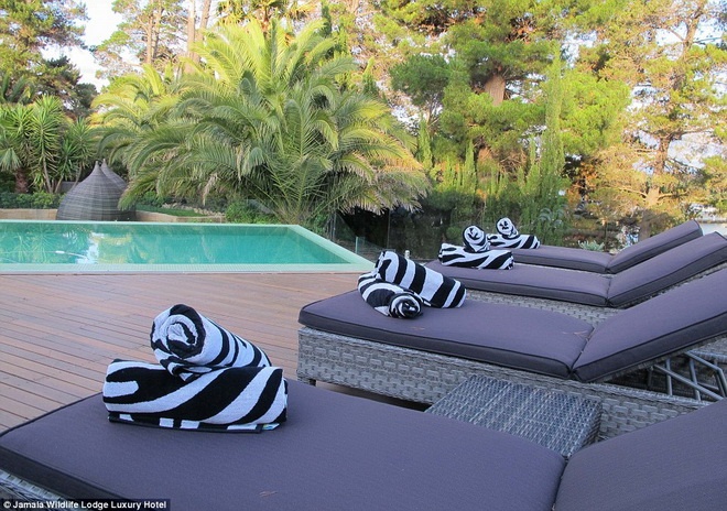 Khăn tắm của bể bơi có họa tiết gần gũi với thiên nhiên.