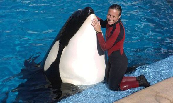 Con cá voi sát thủ Tilikum (2010): Với trọng lượng 5.443kg, Tilikum là con cá voi sát thủ lớn nhất sống trong điều kiện nuôi nhốt, kích cỡ của nó tương đương với một con voi đực châu Phi trưởng thành. Nó bị bắt ở ngoài khơi Iceland vào năm 1983 và được đưa tới công viên hải dương Sealand of the Pacific ở British Columbia, Canada. Dù Tilikum đã được huấn luyện, không huấn luyện viên nào được phép xuống nước cùng nó do kích cỡ khổng lồ của nó. Năm 1991, một huấn luyện viên trẻ tên Keltie Byrne đã ngã xuống hồ nước có Tilikum và hai con cá voi sát thủ khác. Chúng đã vờn Keltie Byrne cho tới lúc cô chết đuối. Năm 1992, Tilikum được chuyển tới SeaWorld Orlando, nơi nó đã nhân giống thành công và sống bình lặng tới ngày 6/7/1999, khi một du khách tên Daniel Dukes lẻn vào bể nuôi cá voi sát thủ sau khi công viên đóng cửa. Thi thể rách nát của Dukes được tìm thấy trên lưng Tilikum. Vào ngày 24/2/2010, huấn luyện viên Dawn Brancheau đang ở cùng Tilikum sau một buổi biểu diễn thì con cá voi tóm lấy cô và kéo xuống nước. Các huấn luyện viên khác đã dụ con cá voi ra khu khác và đưa được Brancheau lên, nhưng đã quá trễ. Cô đã chết do ngạt thở và bị thương nặng với nhiều chỗ xương gãy và đứt tủy sống. Tilikum vẫn tiếp tục biểu diễn tại công viên.
