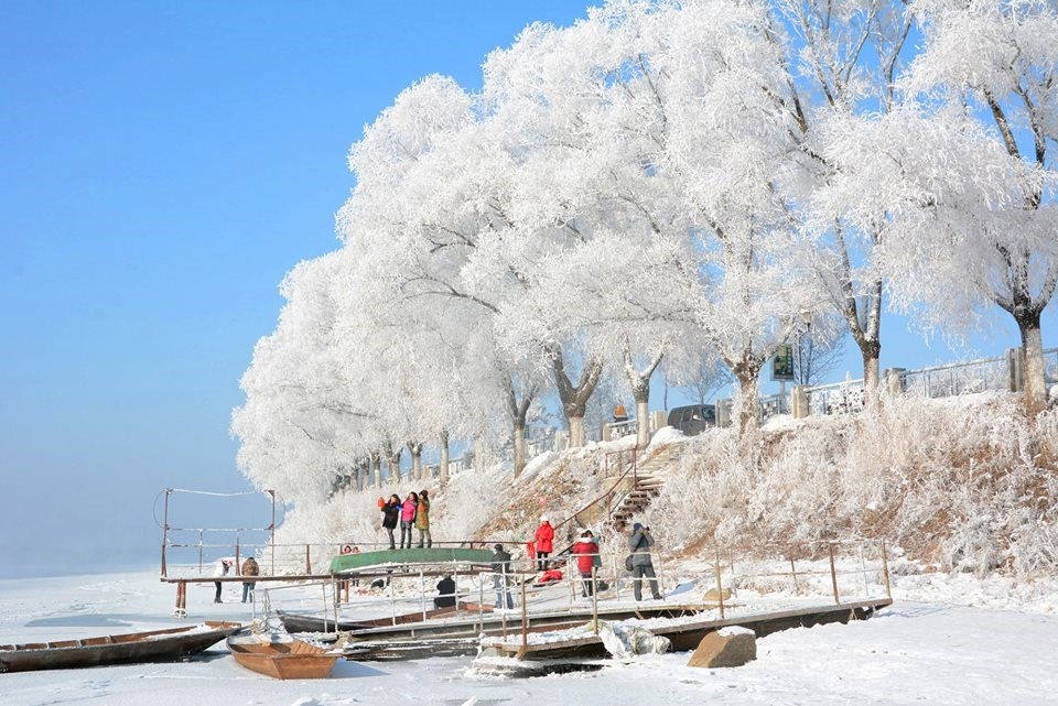 Những cây liễu bị đóng băng đã vô tình khiến khung cảnh dọc bờ sông trở nên vô cùng huyền ảo. (Nguồn: CCTV)