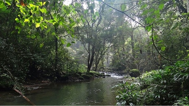 Đường mòn Trans Panama Trail (Panama) có khung cảnh tuyệt đẹp của những cánh rừng nhiệt đới. Trải nghiệm 800 km con đường này sẽ giúp bạn có một chuyến đi khó quên.