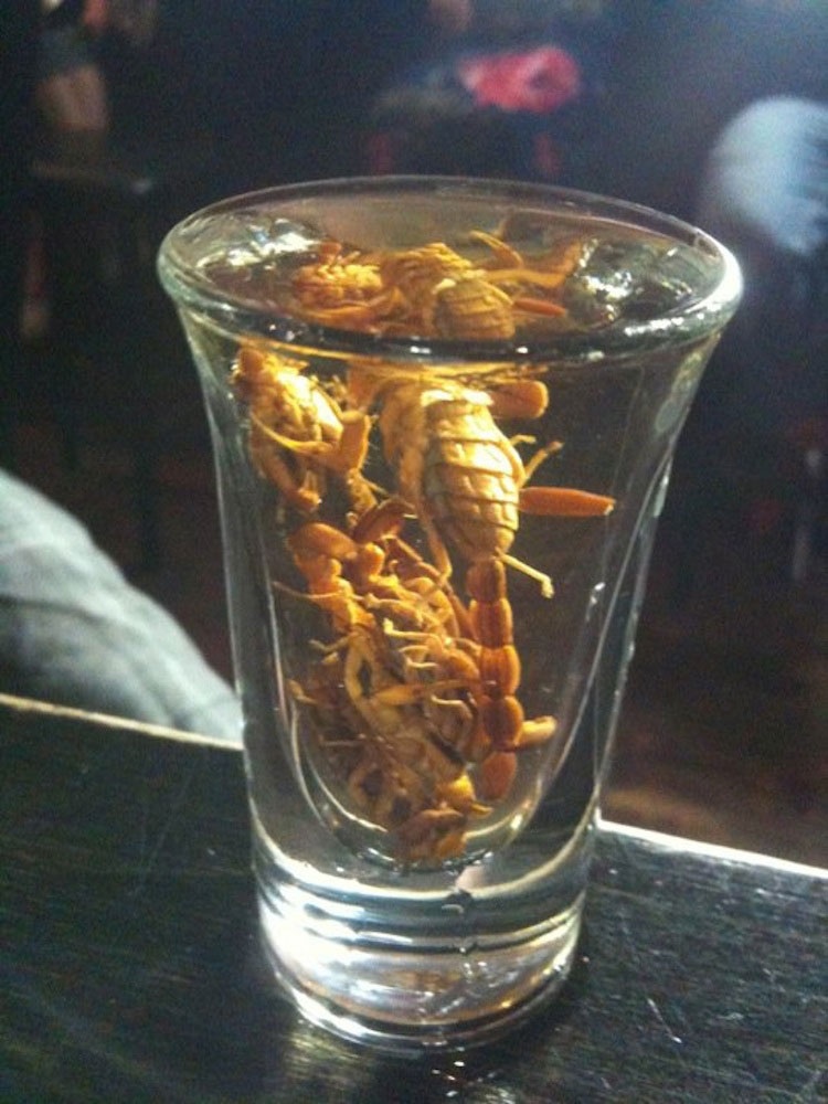 Loại rượu bọ cạp độc đáo không phải ai cũng dám thử.