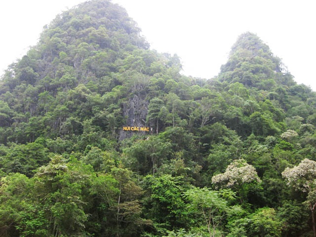 Núi Các-mác trầm mặc soi bóng bên suối.