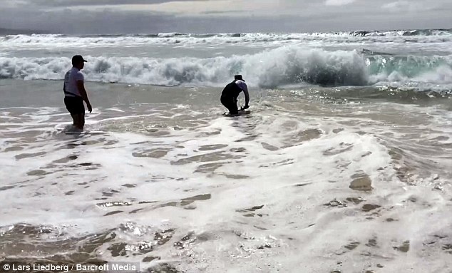 Sau đó hai người đã đưa con cá mập ra chỗ nước sâu hơn để nó có thể bơi đi.
