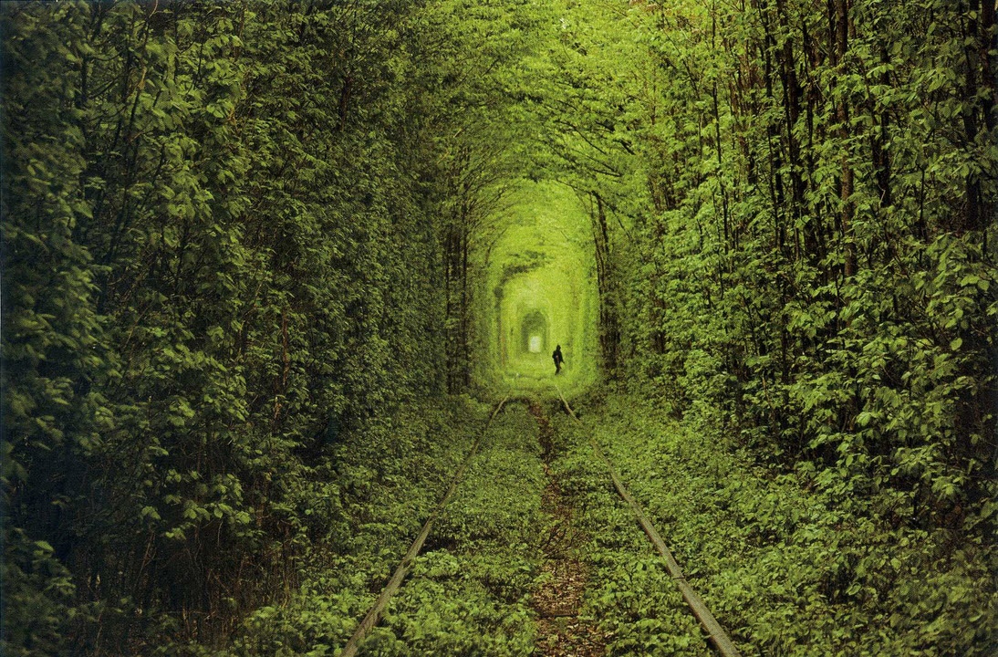 5. Đường hầm tình yêu của Klevan, Ukraine: Đây là một đường hầm xe lửa bao phủ bởi cây cối dày đặc,  một màu xanh tươi, cung đường này là một điểm hút khách chính trong khu vực và cũng là một trong những nơi lãng mạn nhất trên thế giới.