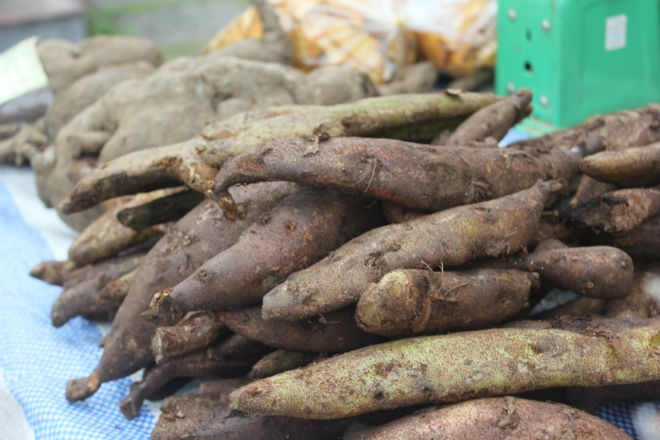 Củ tắc kè, một loại sản vật núi rừng chuyên được dùng để ngâm rượu. Ảnh: Cao Thùy Liên